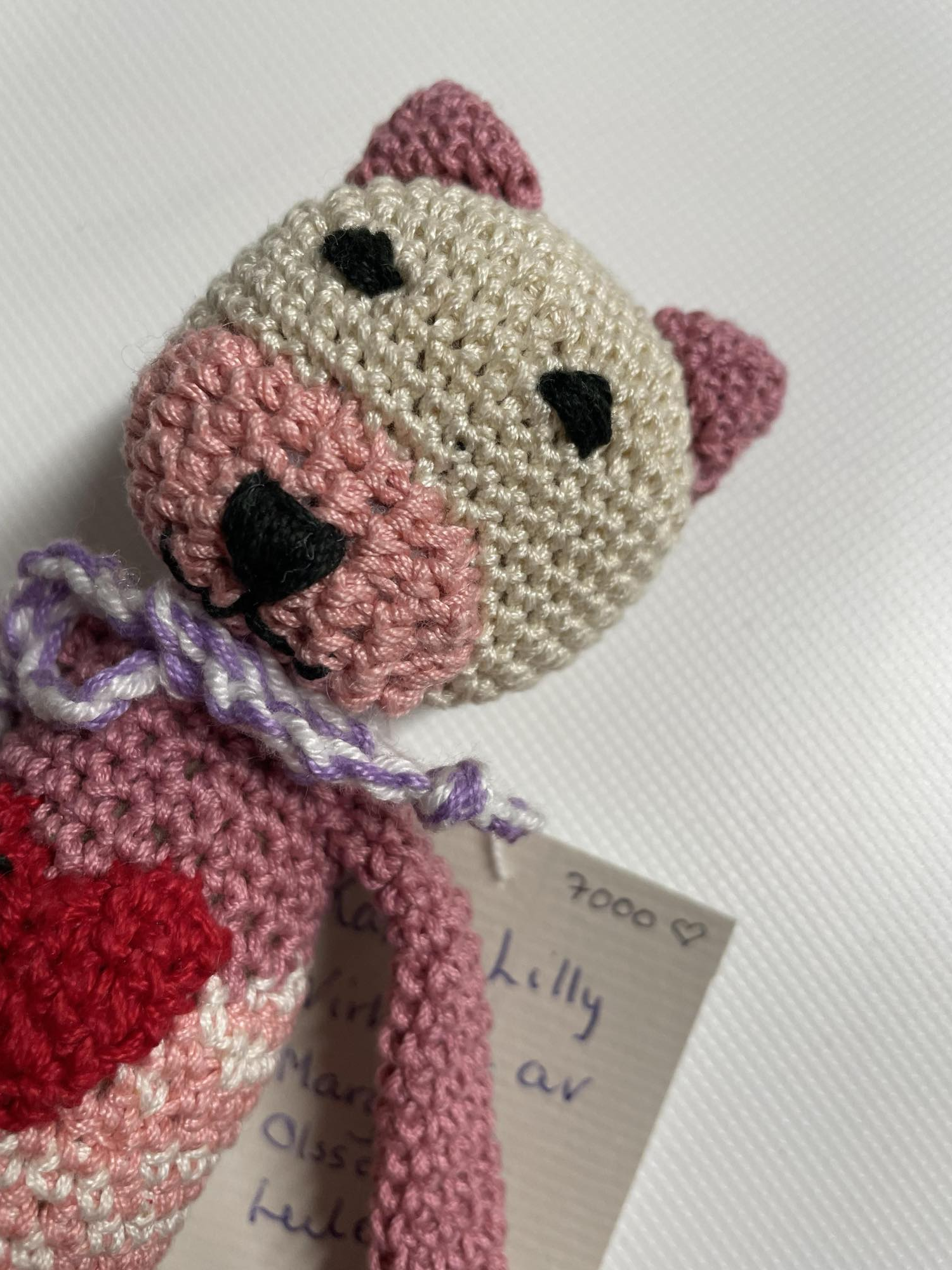 Lilly, katt nummer 7000